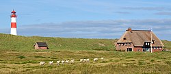 Dünen auf der Halbinsel Ellenbogen mit dem Leuchtturm List Ost