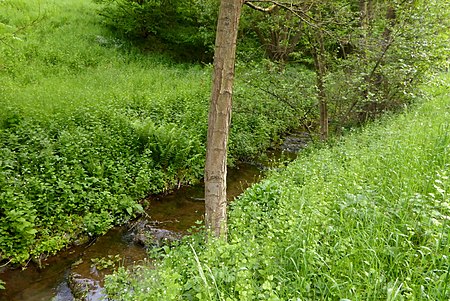 Dohrenbach (Gelster)