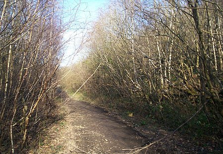 Dovecliffe railway station by Jonathan Clitheroe