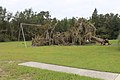 Downed tree from Hurricane Irma