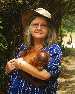 Birutė Galdikas primatologist, conservationist, and ethologist