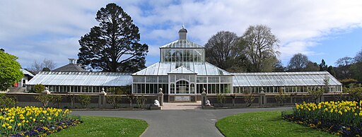 Dunedin Botanic Gardens greenhouse panorama