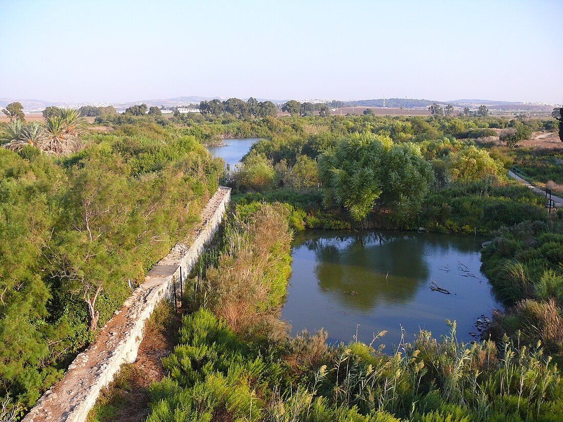 Tel Afek