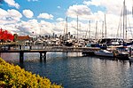 Elliott Bay Marina