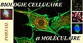 En-tête Portail Biologie cellulaire et moléculaire