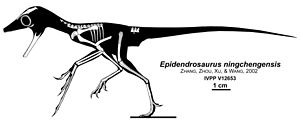 Реконструкція епідендрозавра