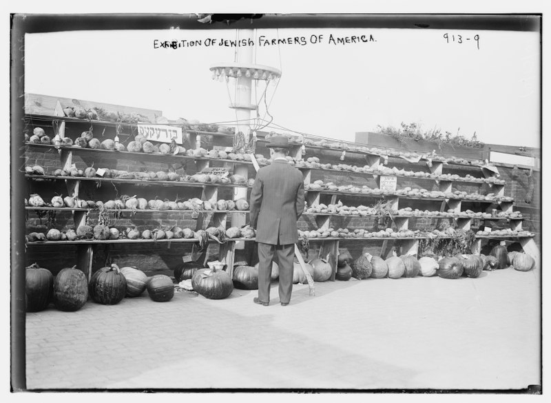 File:Exhibition of Jewish farmers of America LCCN2014684338.tif