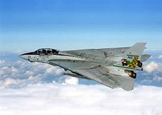 F-14A Tomcat over Iraq during Southern Watch.jpg