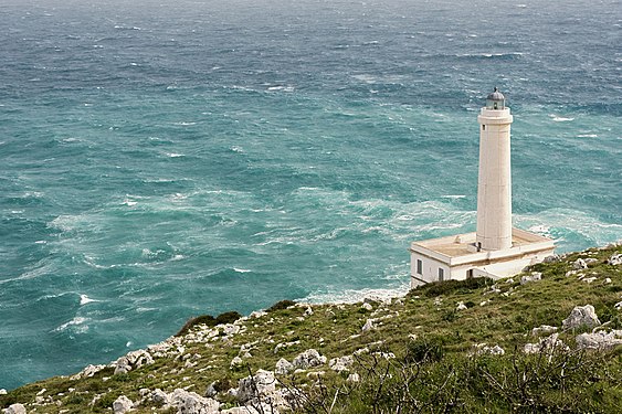 FARO DI PUNTA PALASCIA .jpg