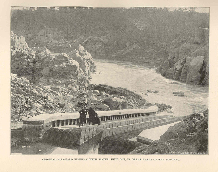 File:FMIB 43117 General McDonald Fishway with Water Shut Off, in Great Falls of the Potomac.jpeg