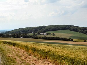 View from Dornberg west-northwest to Homberg