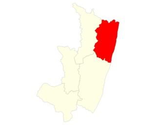 <span class="mw-page-title-main">Farafangana (district)</span> City & district in Atsimo-Atsinanana, Madagascar