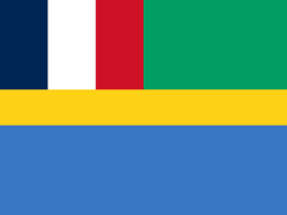 Flag of Gabon (1959–1960)