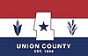 Flag of Union County, Ohio