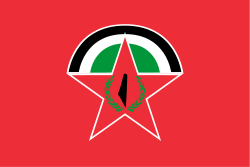 DFLP Party logo and flag