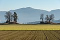 * Nomination Landscape east of Dornhof, Frauenstein, Carinthia, Austria --Johann Jaritz 02:45, 9 February 2017 (UTC) * Promotion Good quality. --СССР 02:57, 9 February 2017 (UTC)