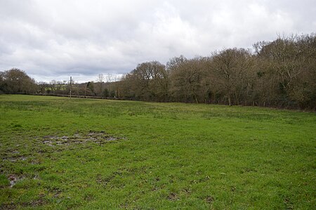 Frieth Meadows 2