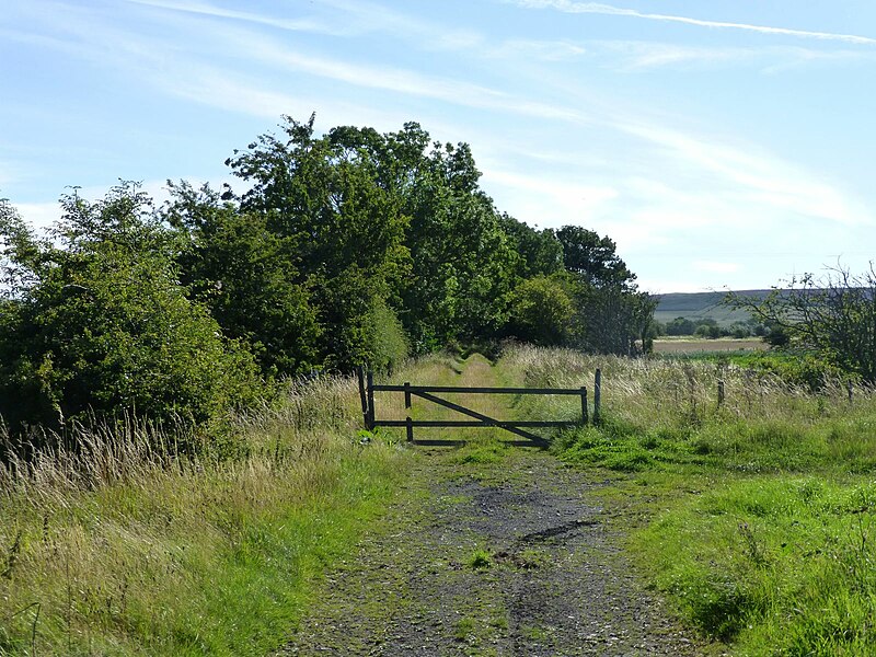 File:Gate on the trackbed of the old Alnwick ^ Cornhill Railway - geograph.org.uk - 4632329.jpg