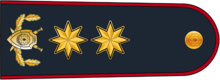 General-leytenant DİN.png