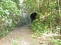 Entrance to the Guajataca Tunnel in Quebradillas, Puerto Rico