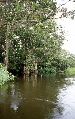 <span class="mw-page-title-main">Los Guatuzos Wildlife Refuge</span> Protected area in Nicaragua