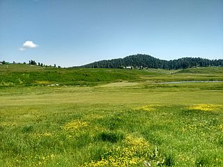 <span class="mw-page-title-main">Gulmarg Golf Club</span> In Kashmir, India