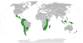 Range of the genus Gunnera