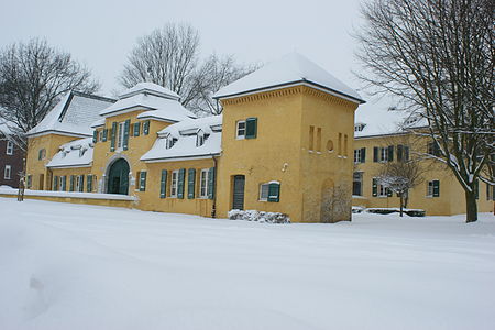 HausKatzWinter2010