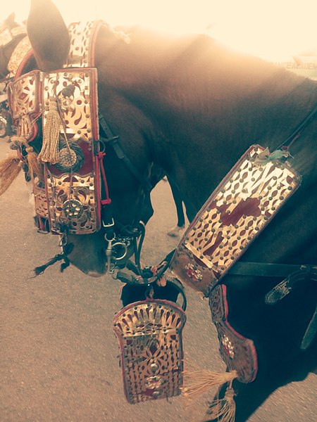 File:Hausa horse decoration2.jpg