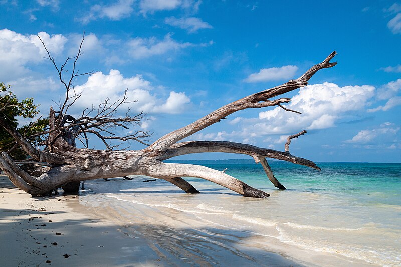 File:Havelock Island, Sandy lagoon, Andaman Islands.jpg