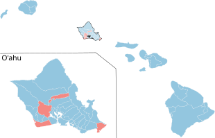 Hawaii House of Representatives Election 2024 - Results by District with holds and gains.svg