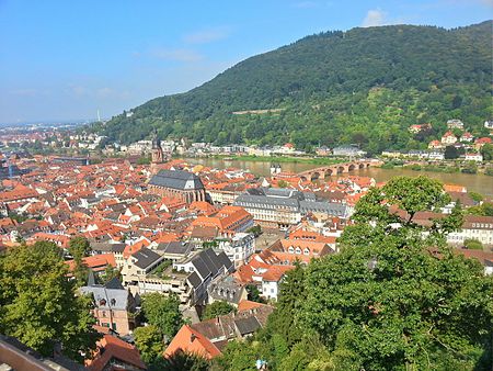 Tập_tin:Heidelberg_-_aus_dem_Schloss_1.jpg