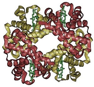 Hemoglobin