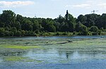 Vorschaubild für Landschaftsschutzgebiet Hengsteysee/Ruhr, Südufer