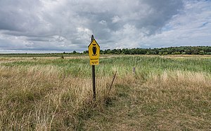 Hiddensee asv2022-08 img06 Gellen Kernzonengrenze.jpg