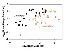 Home range areas of 49 species of mammals in relation to their body size. Larger-bodied species tend to have larger home ranges, but at any given body size members of the order Carnivora (carnivores and omnivores) tend to have larger home ranges than ungulates (all of which are herbivores). Whether this difference is considered statistically significant depends on what type of analysis is applied Home Range 49 Mammals 1.jpg