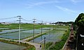 2012年5月13日 (日) 12:42時点における版のサムネイル