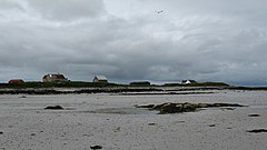 Houses along the shore. - geograph.org.uk - 505805.jpg