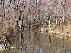 Houston Branch looking downstream towards Delaware Stateline from Handy Road