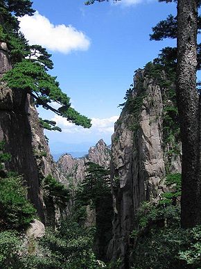 Kilátás a Huangshan-hegyről és a Huangshani fenyőfákról (lat. Pinus hwangshanensis), Huangshan városnegyed