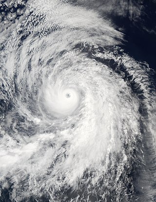 <span class="mw-page-title-main">Hurricane Fausto (2002)</span> Category 4 Pacific hurricane in 2002