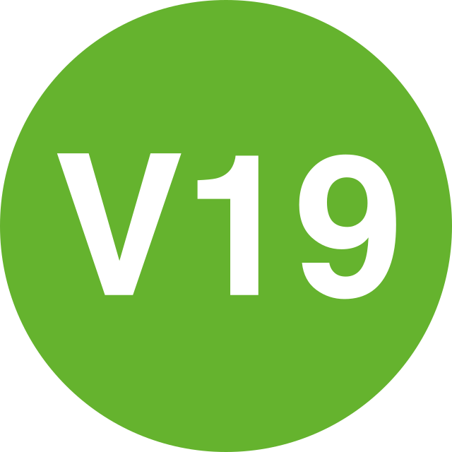 Svg 19