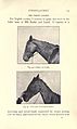 Illustrated horse-breaking (Page 129) BHL18308293.jpg
