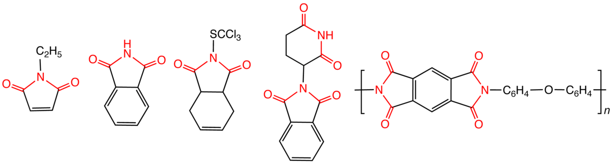Illustrative imides, from left: N-ethylmaleimide, a biochemical reagent; phthalimide, an industrial chemical intermediate; Captan, a controversial pesticide; thalidomide, a drug that once caused many birth defects; a subunit of Kapton, a high strength polymer used to make space suits.