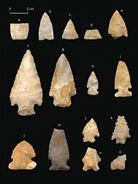 projectile points from INDU (see also Lynott et al. 1998) Indiana Dunes Arcahic Points (INDU) -.JPG
