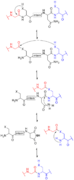 Intein mechanism