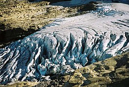 Jackson Glacier terminus.jpg