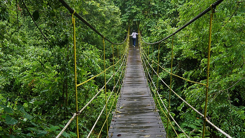 File:Jembatan Gantung di Sangkima Jungle Park TN Kutai.jpg