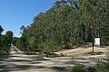 Junction with Gipps Lakes Discovery Trail