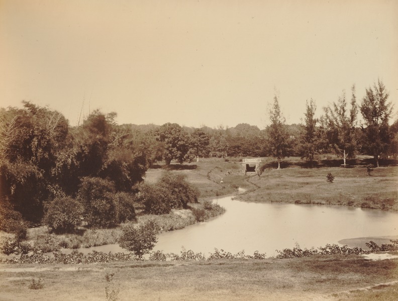 File:KITLV 92033 - Unknown - Cubbon Park in Bangalore, India - Around 1870.tif